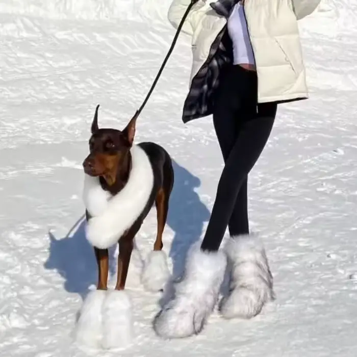 Bottes de neige mi-mollet moelleuses pour femmes en tissu en coton avec fausse fourrure pour l'hiver style coréen à offrir pour diverses occasions spéciales
