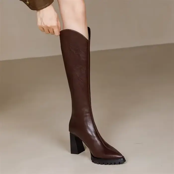 Bottes longues pour femmes bout pointu genou haute arbre chaussures femme élégante qualité Gyaru pri